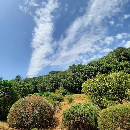 Apartman Il Casolare Val Di Mare Riparbella
